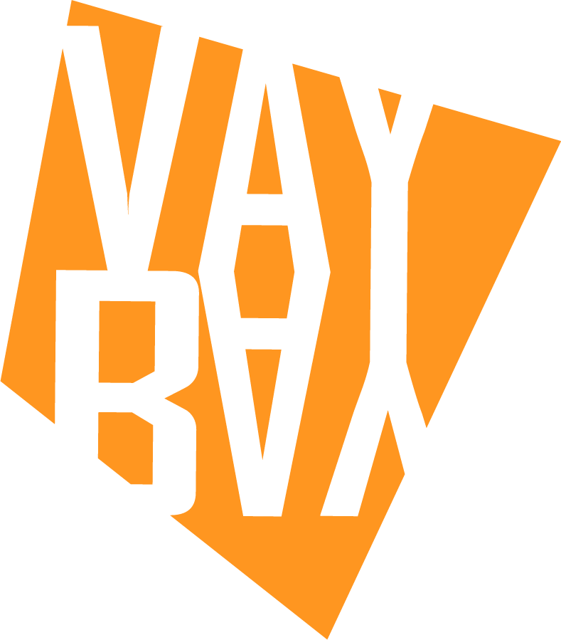 logo vaybay